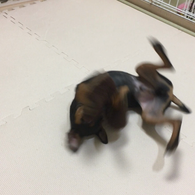 ネタ無しの画像