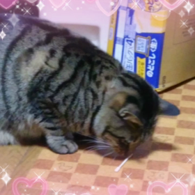 えっ？の画像