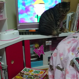 テレビ前にての画像