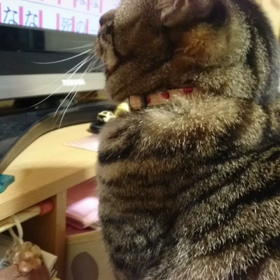 おはようございます❤の画像