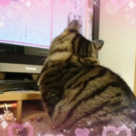 おはようございます❤の画像
