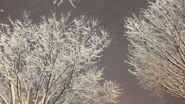 雪の記事動画