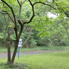 落ち着く場所の画像