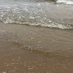 海に行ったよーの画像