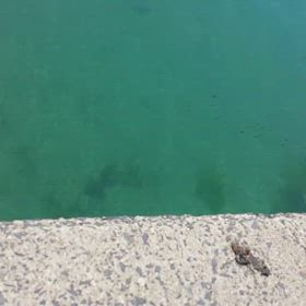 海底の見える船着き場の画像