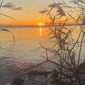 2024年初日の出の画像