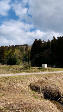 これは行くべき！？山に囲まれた秘湯・富山の神代温泉の記事動画