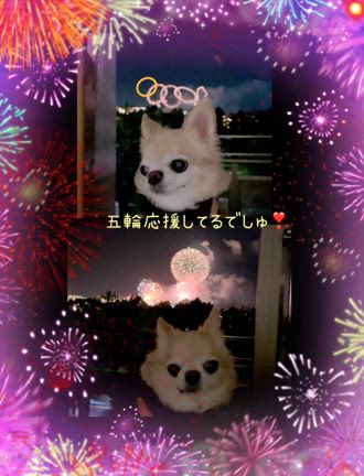 心臓手術後 11ヶ月検診でしたの記事動画