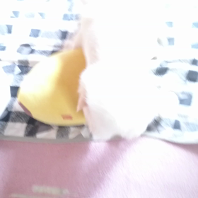なんでもない、のんびり休日の画像