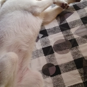 まったり連休の画像
