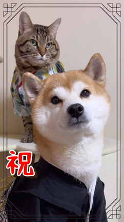 新成人おめでとうの記事動画