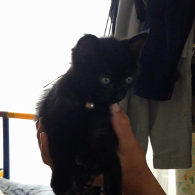 今日の天ちゃん＜２９日目＞の画像