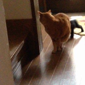 今日の天ちゃん＜２８日目＞の画像