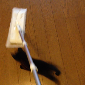 今日の天ちゃん＜１８日目＞の画像
