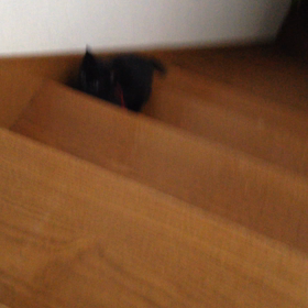 今日の天ちゃん＜２１日目＞の画像