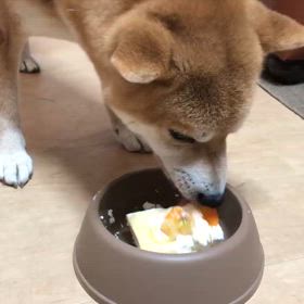 祝⭐︎3歳！の画像
