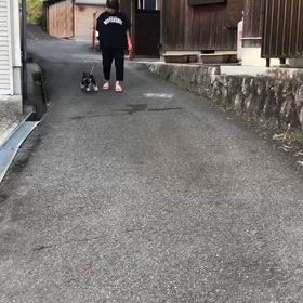 お散歩デビューの画像
