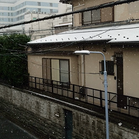 今年2回目の雪の画像