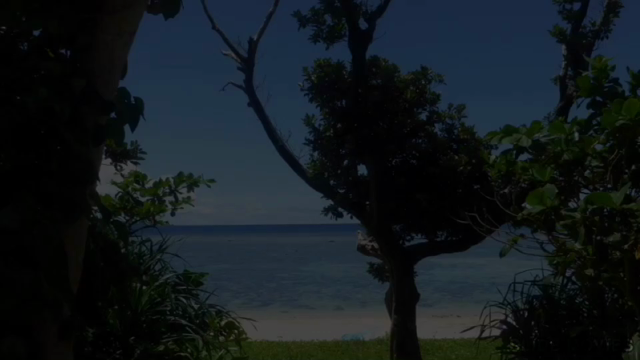 大好きな場所の記事動画