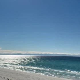 1月の旅行⭐フロリダへ⭐の画像