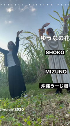 幸せさぁの記事動画