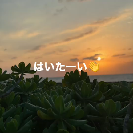 幸せさぁの記事動画