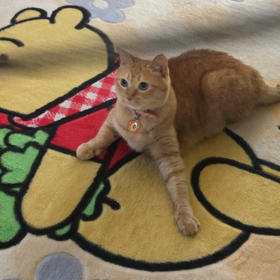 便利さ、いらないときもある。の画像