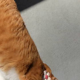 楽しんだあとに…の画像