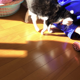 おねーちゃん、帰ってきた！の画像
