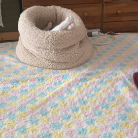 なにこれ！の画像