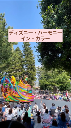 ディズニーパレードがよく見える穴場の記事動画