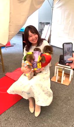 猿まわしのお猿さんの記事動画