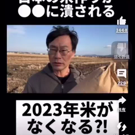日本の米が危ないの画像