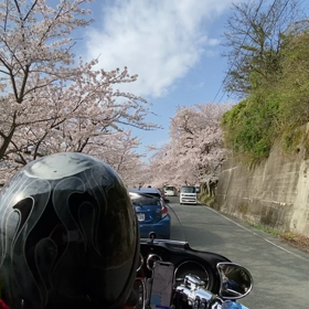 今日の夫婦の画像