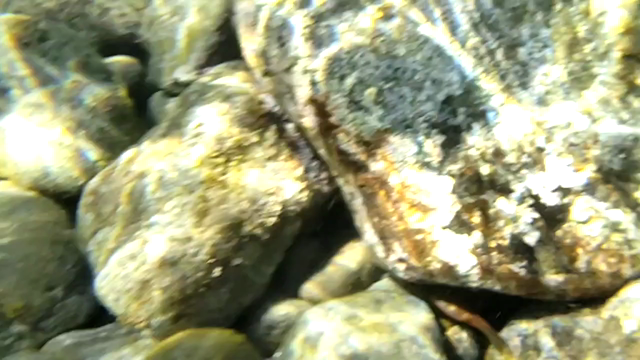 人生で一度はやってみたいことの記事動画