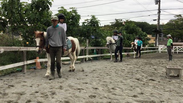 乗馬体験に行ってきました⭐︎の記事動画