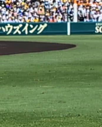 甲子園の地で近本選手と⚾✨の記事動画