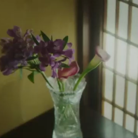 わが身ひとつの画像