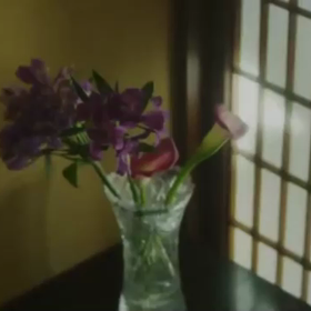 わが身ひとつの画像