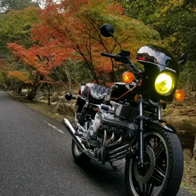 紅葉とCBX1000の画像