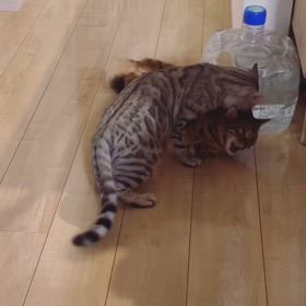 2024/09/30の画像