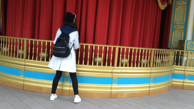 ディズニー続き☆の記事動画