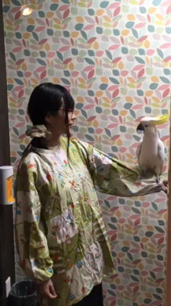 ゆかたん、キバタン、オオバタン☆の記事動画