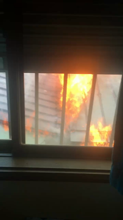 火事の詳細についての記事動画