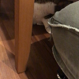 受かったー！の画像
