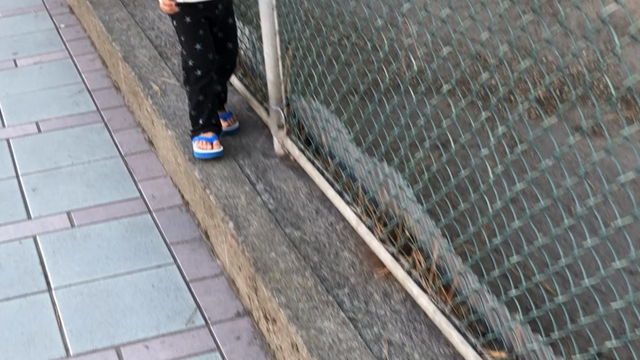 自分を褒める97日目の記事動画