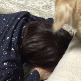 ガリガリ君╭(°ㅂ°)╮╰(°ㅂ°)╯の画像