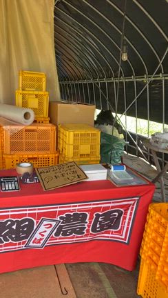 れ組さんの記事動画