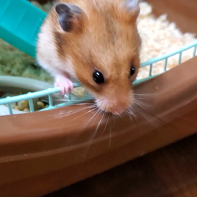 赤ちゃん元気です。の画像