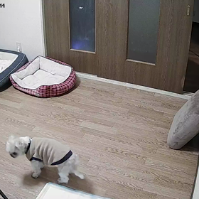 2022/10/26の画像